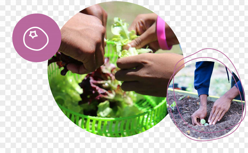 School Garden Herb Plastic Finger PNG