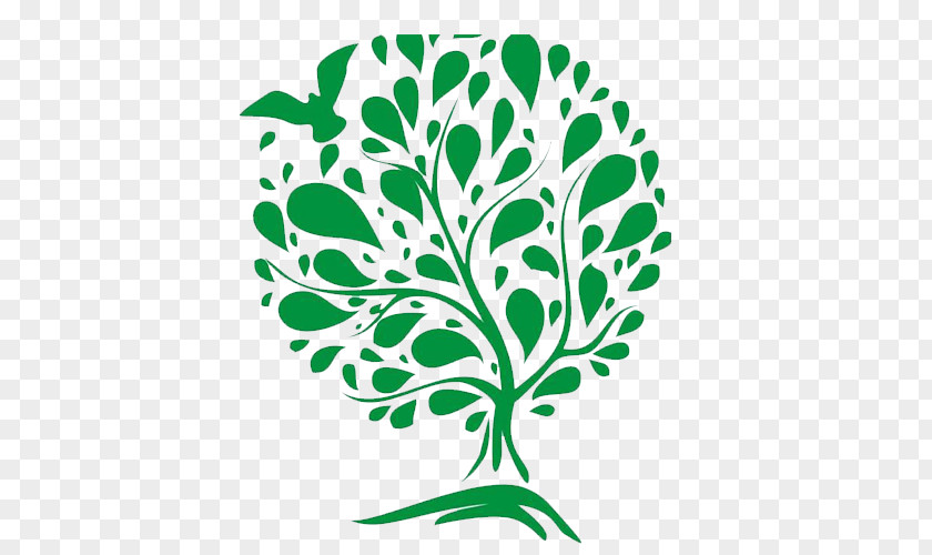 Tree Of Life McIntyre Elder Law The Chedworth Story: History A Cotswold Parish Celebrant Wedding PNG