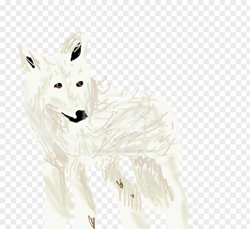 Arctic Wolf Fox Gray Hare White PNG