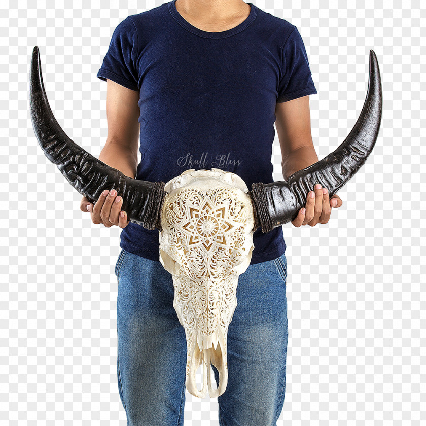 Buffalo Skull Horn Mandala The World Within Our Minds Cattle PNG