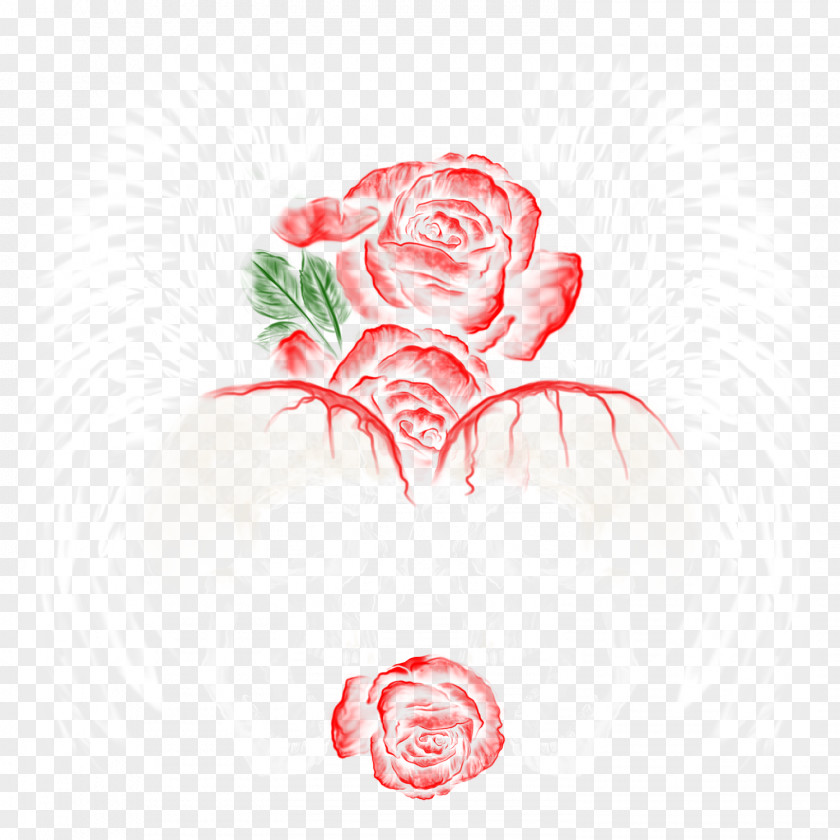 Design Garden Roses Cabbage Rose Floral Drawing Illustration PNG