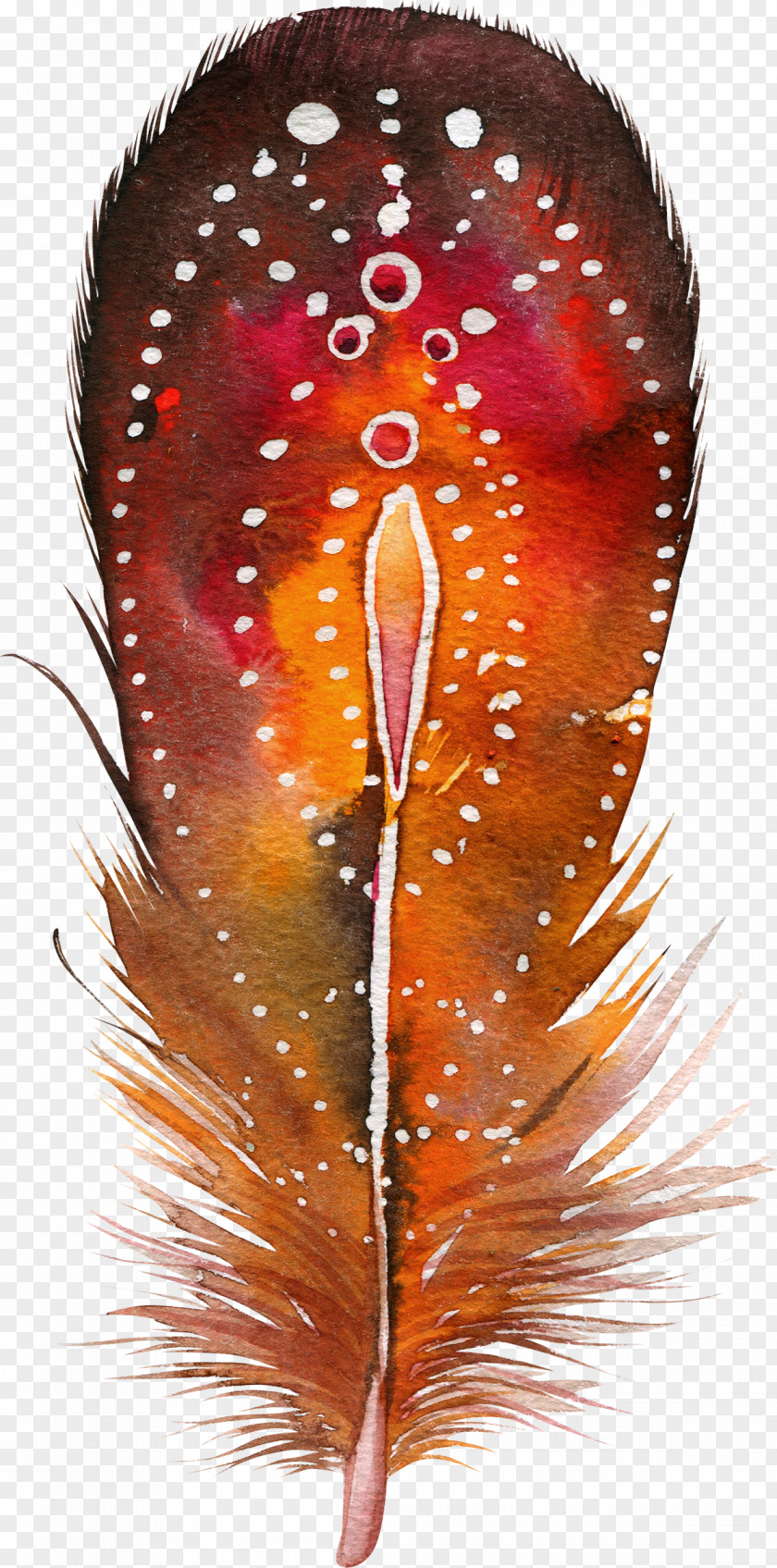 Feather Watercolor Painting Poster Juliane Wolf Photography PNG