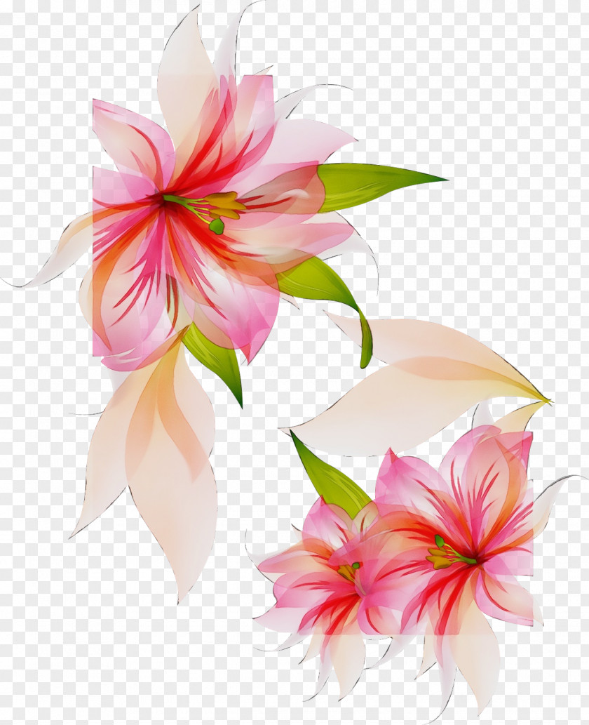 Floral Design Cut Flowers Flower Bouquet Jersey Lily PNG