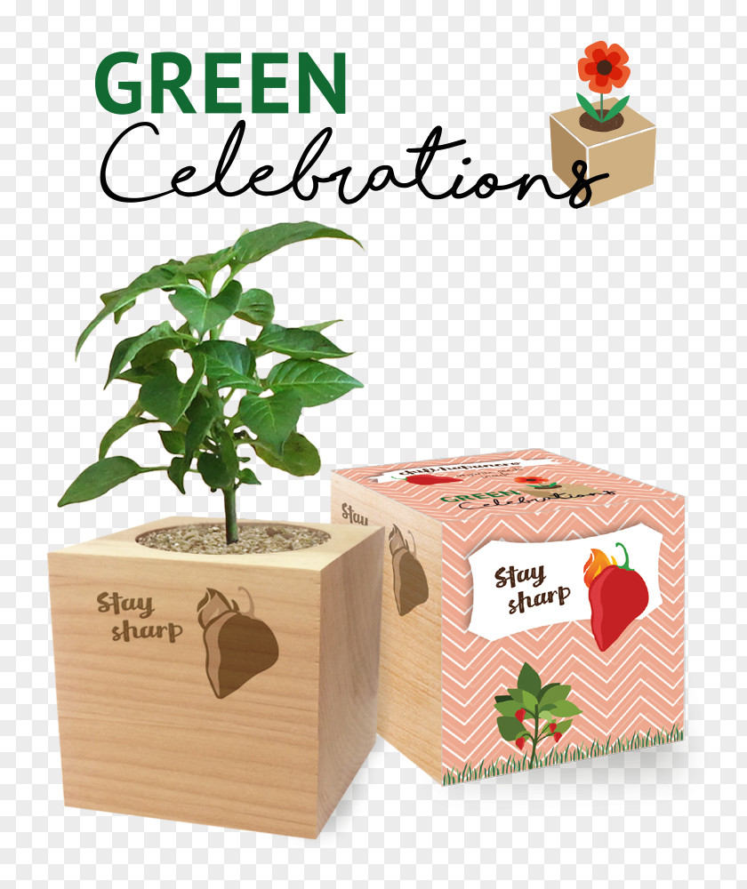 Green Promotions Sustainability Box Logo Advertising Media Selection PNG