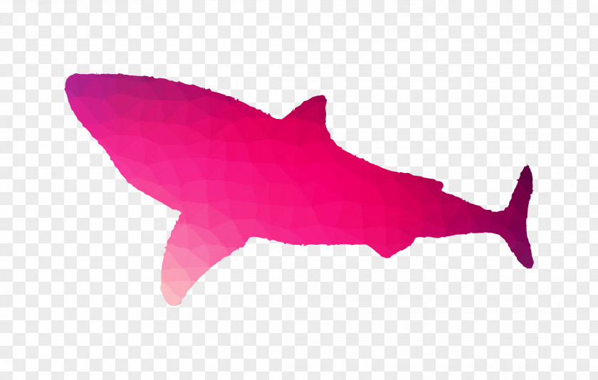 Requiem Sharks Great White Shark Art Tooth PNG