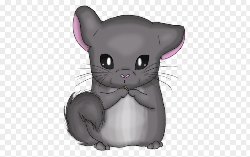 Rodent Long-tailed Chinchilla Short-tailed Pet PNG
