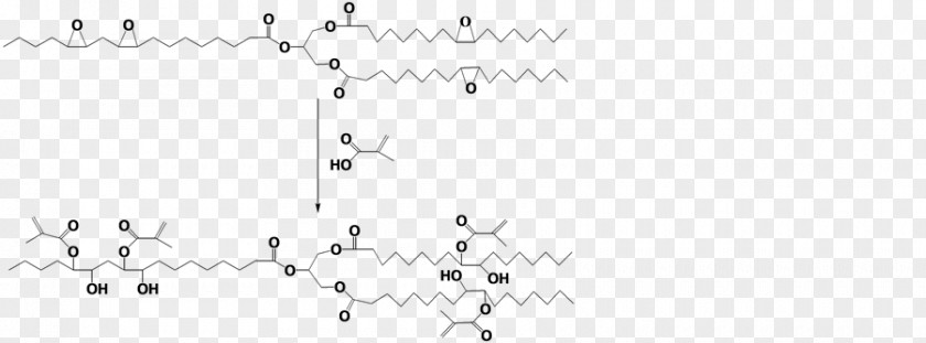 Soybean Oil Document Point Angle Tree Number PNG