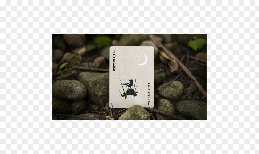 Woodlands Playing Card Magic Shop Game Penguin Sleight PNG