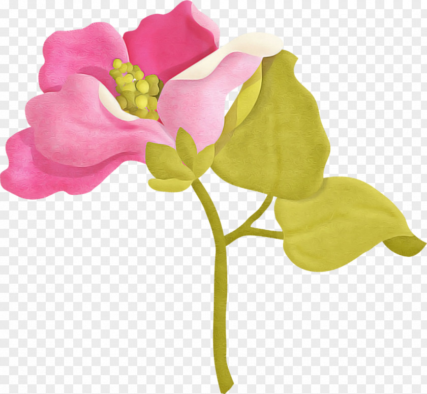 Artificial Flower PNG