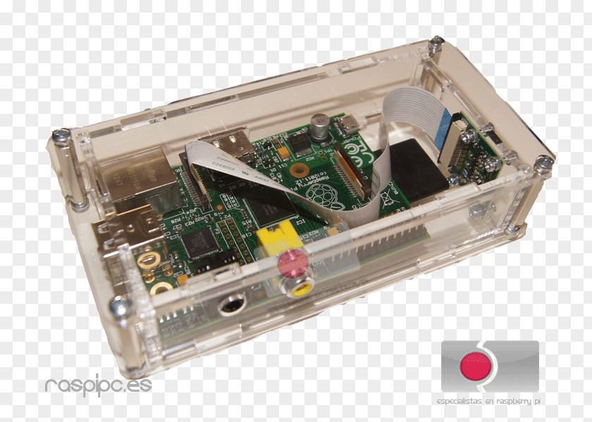 Botanical Slimming Espanol Motherboard Raspberry Pi Electronics Computer Hardware PNG