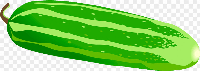 Mudkip key Pickled Cucumber Pickling Vegetable Melon PNG
