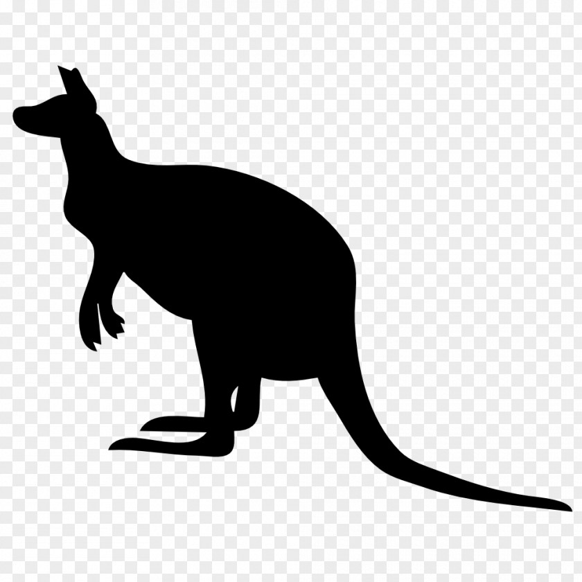 Baby Kangaroo Images Clip Art PNG