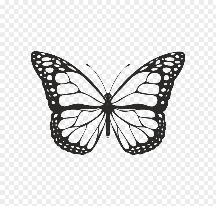 Butterfly Black And White Clip Art PNG
