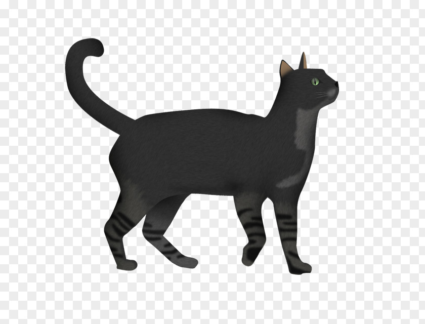 Cats Korat Manx Cat Domestic Short-haired Whiskers PNG