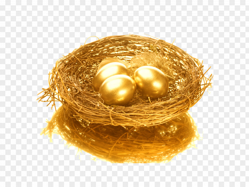 Golden Nest Egg Bird PNG