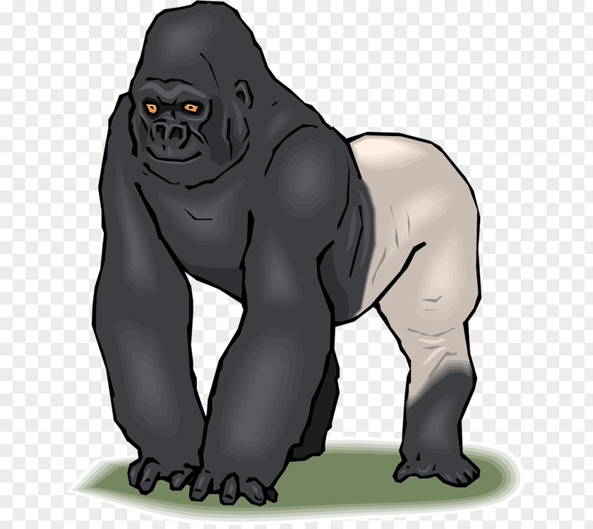 Gorilla Photos Free Content Clip Art PNG