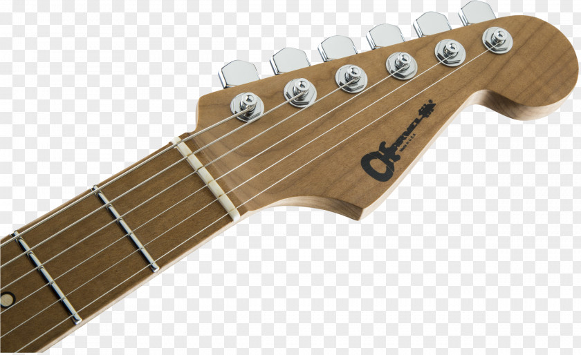 Musical Instruments Fender Corporation Stratocaster Guitar Squier PNG