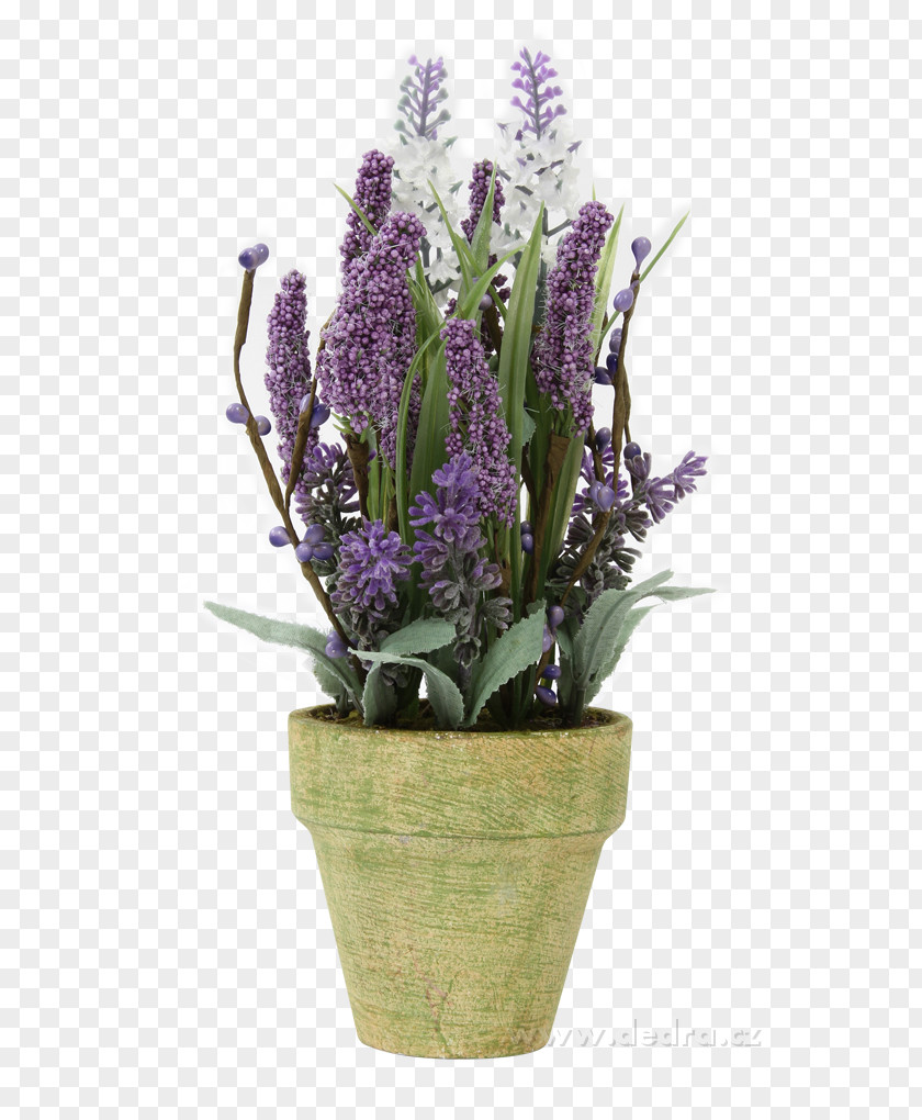 Plumeria Alba English Lavender French Flowerpot PNG