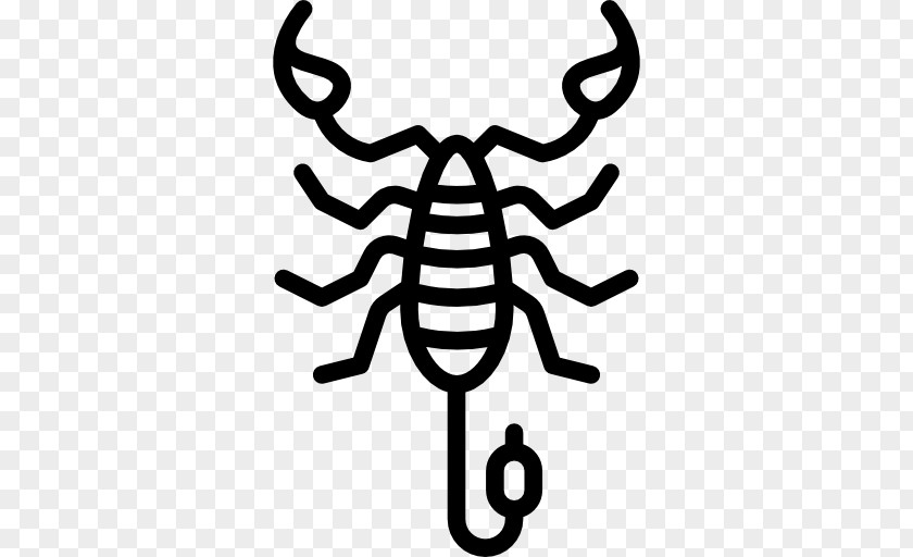 Scorpion Insect Drawing Clip Art PNG