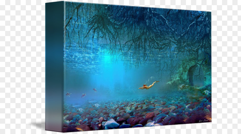 Underwater World Coral Reef Fish Water Aquariums Ecosystem PNG