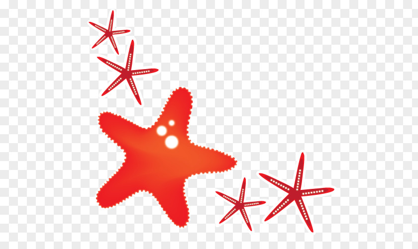 Vector Red Starfish Clip Art PNG
