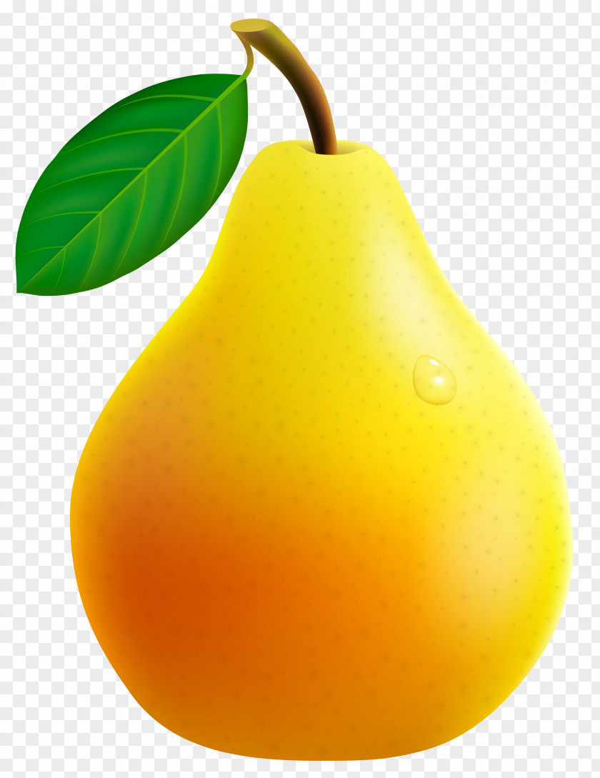 Yellow Pear Vector Clipart Image Orange Citric Acid Natural Foods Still Life Photography PNG
