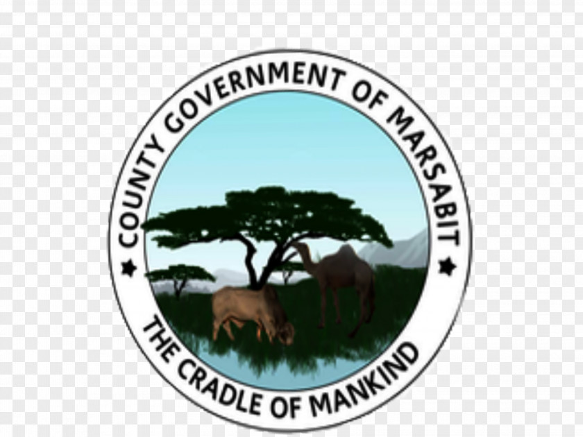 Camels Isiolo County Marsabit Samburu Garissa Mandera PNG