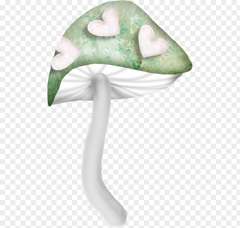 Champignon Headgear Organism PNG