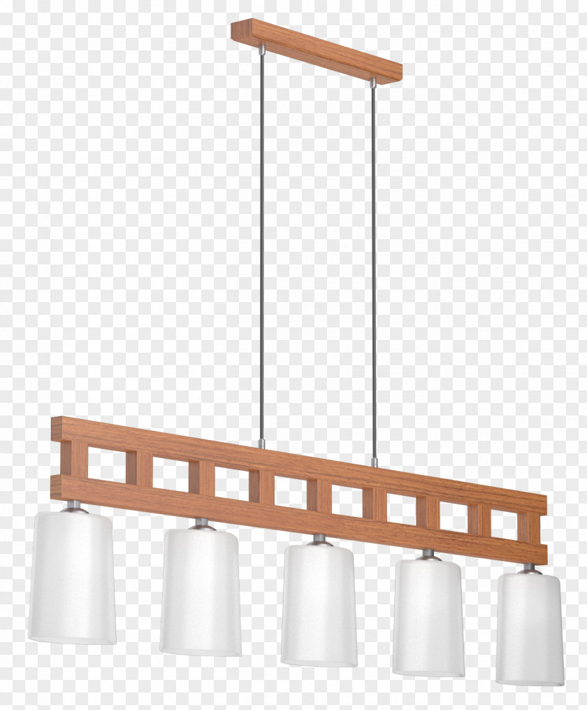 Design Ceiling Light Fixture PNG