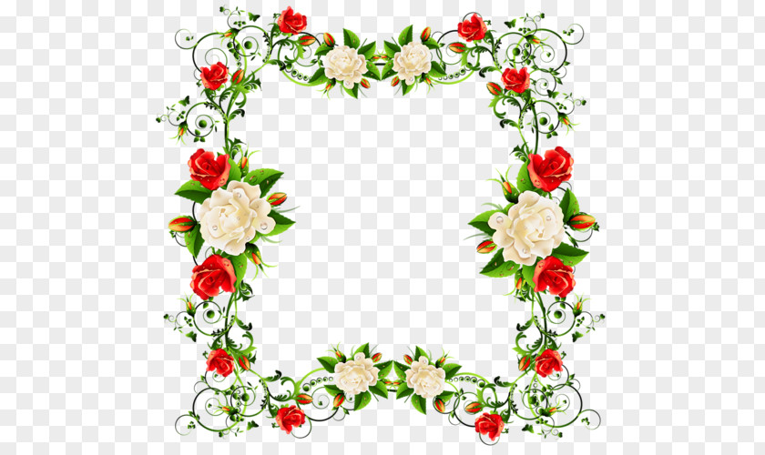 Red And White Roses Vine Frame Flower Beach Rose Clip Art PNG