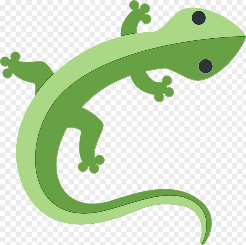 True Salamanders And Newts Wall Lizard Frog Cartoon PNG