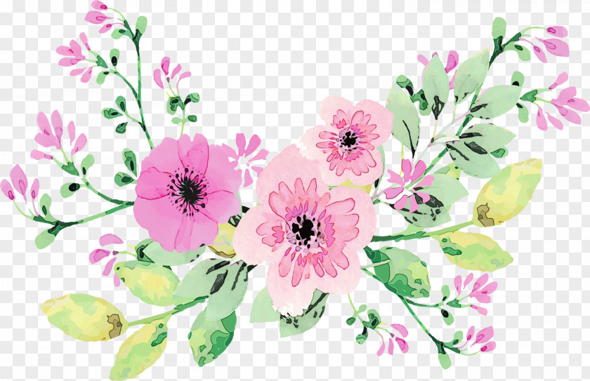Bouquet Anemone Of Flowers Drawing PNG