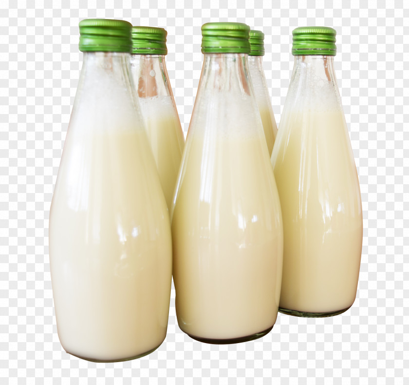 Milk Bottle Soy Latte Cows PNG