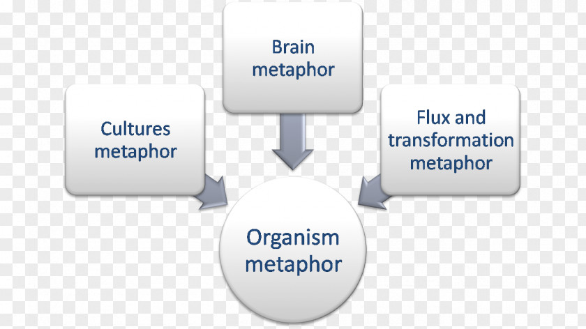 Organisms Organization Machine Scientific Management Leadership PNG