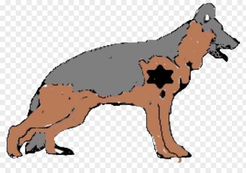 Pastore Tedesco German Shepherd Black Snout Grey Vulpini PNG