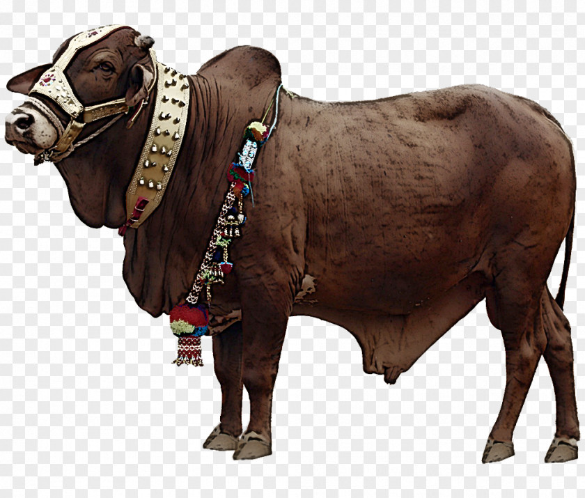 Statue Ox Bovine Bull Livestock Animal Figure Snout PNG