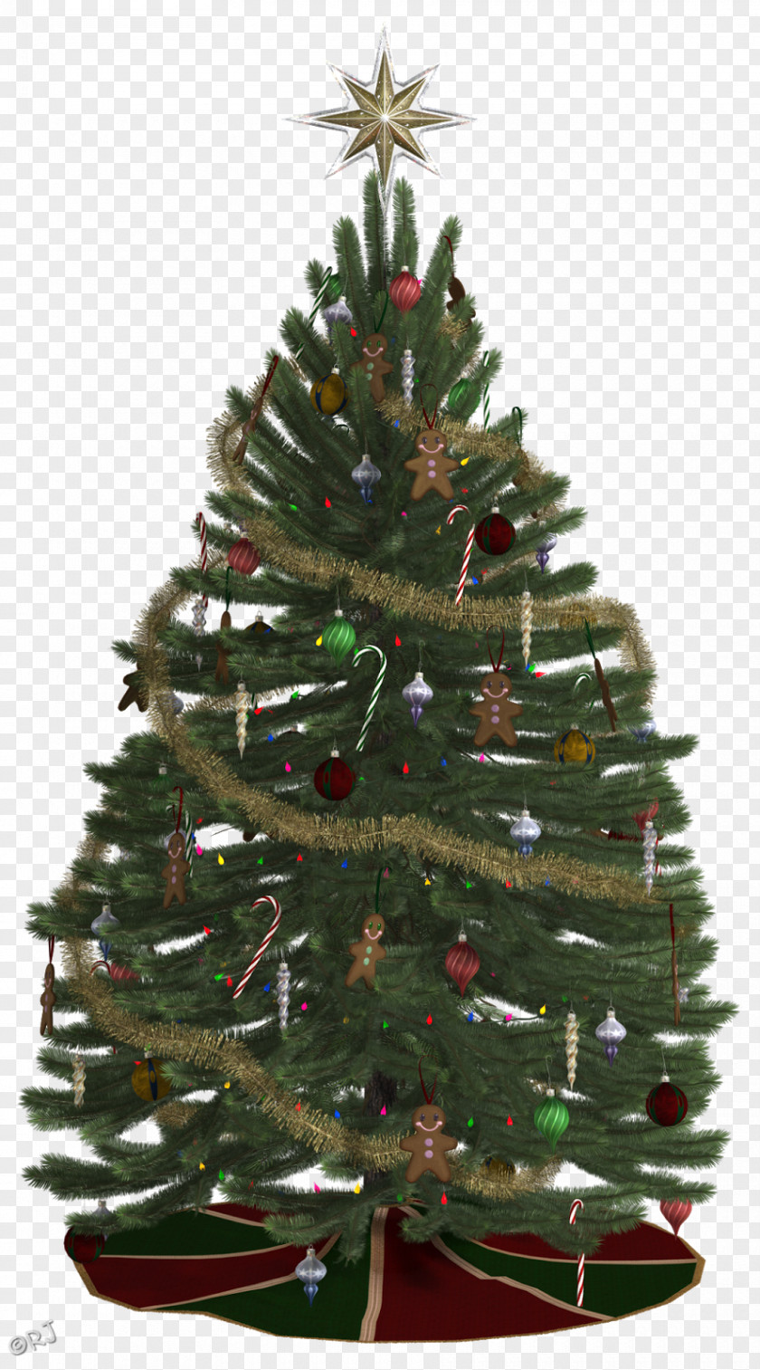 Winter Tree Christmas Ornament Spruce PNG