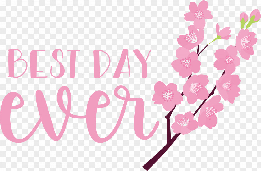 Best Day Ever Wedding PNG