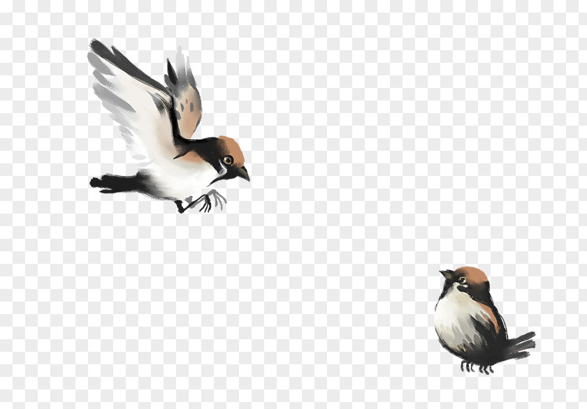 Birds IPhone 6 China Bird Chinese Painting PNG
