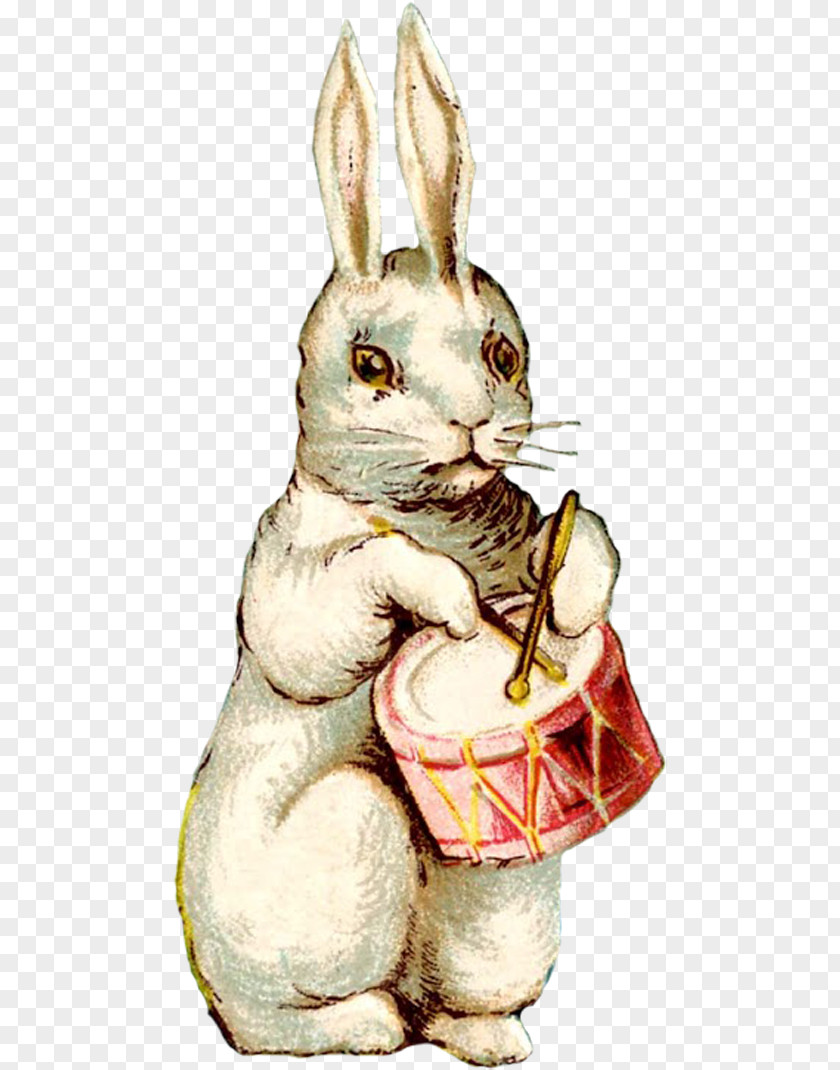 Easter Bunny Postcard Rabbit Egg PNG