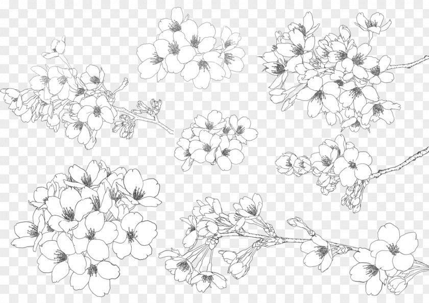Hand-painted Cherry Blossom Illustration PNG