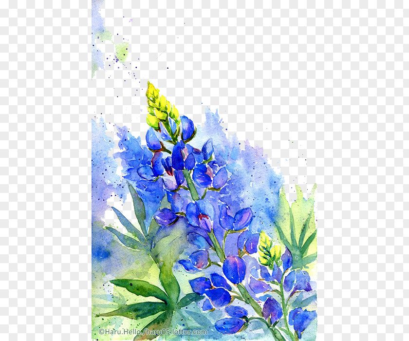 Watercolor Flowers Painting Flower Drawing Illustration PNG