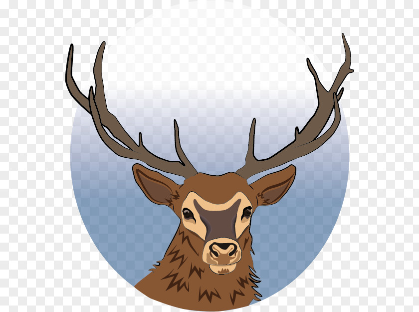 Deer Vector Reindeer Elk Antler Trophy Hunting PNG
