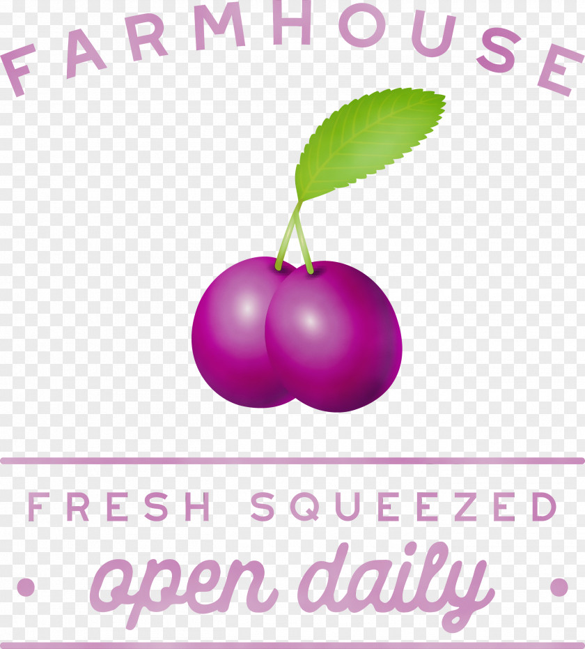 Meter Font Fruit Flower Plant PNG