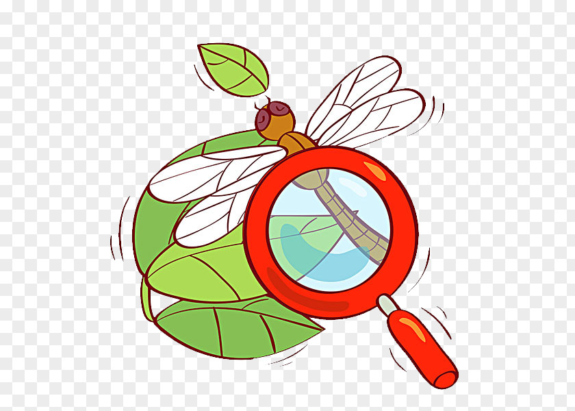 Observation Dragonfly Magnifying Glass Illustration PNG