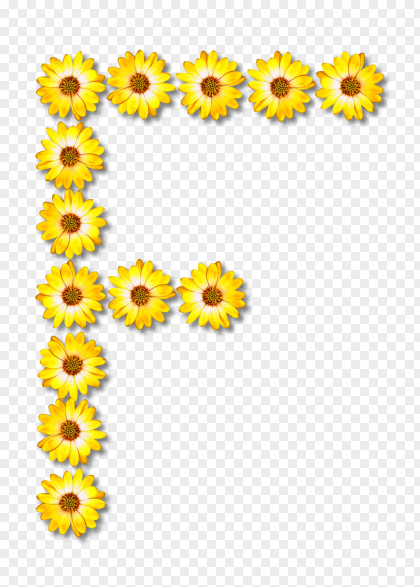 Open Flowers Alphabet Letter Case F Clip Art PNG