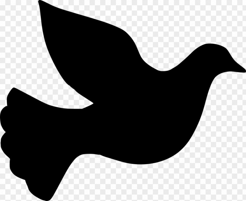 Silhouette Columbidae Clip Art PNG