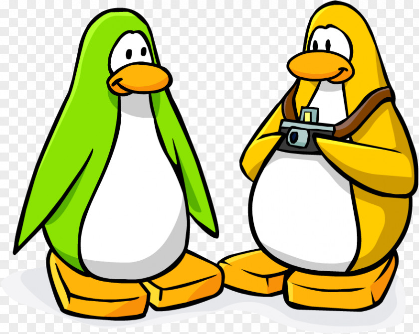 Club Penguins Penguin Image Wikia PNG