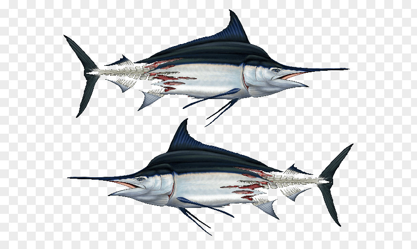 Fish Boat Swordfish Decal Tuna Clothing Fishing PNG