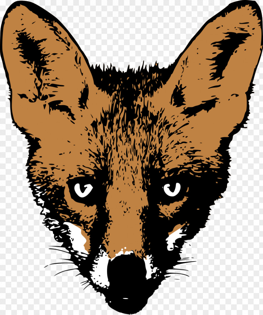 Fox Drawing Face Clip Art PNG